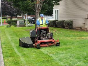 HOA, mowing