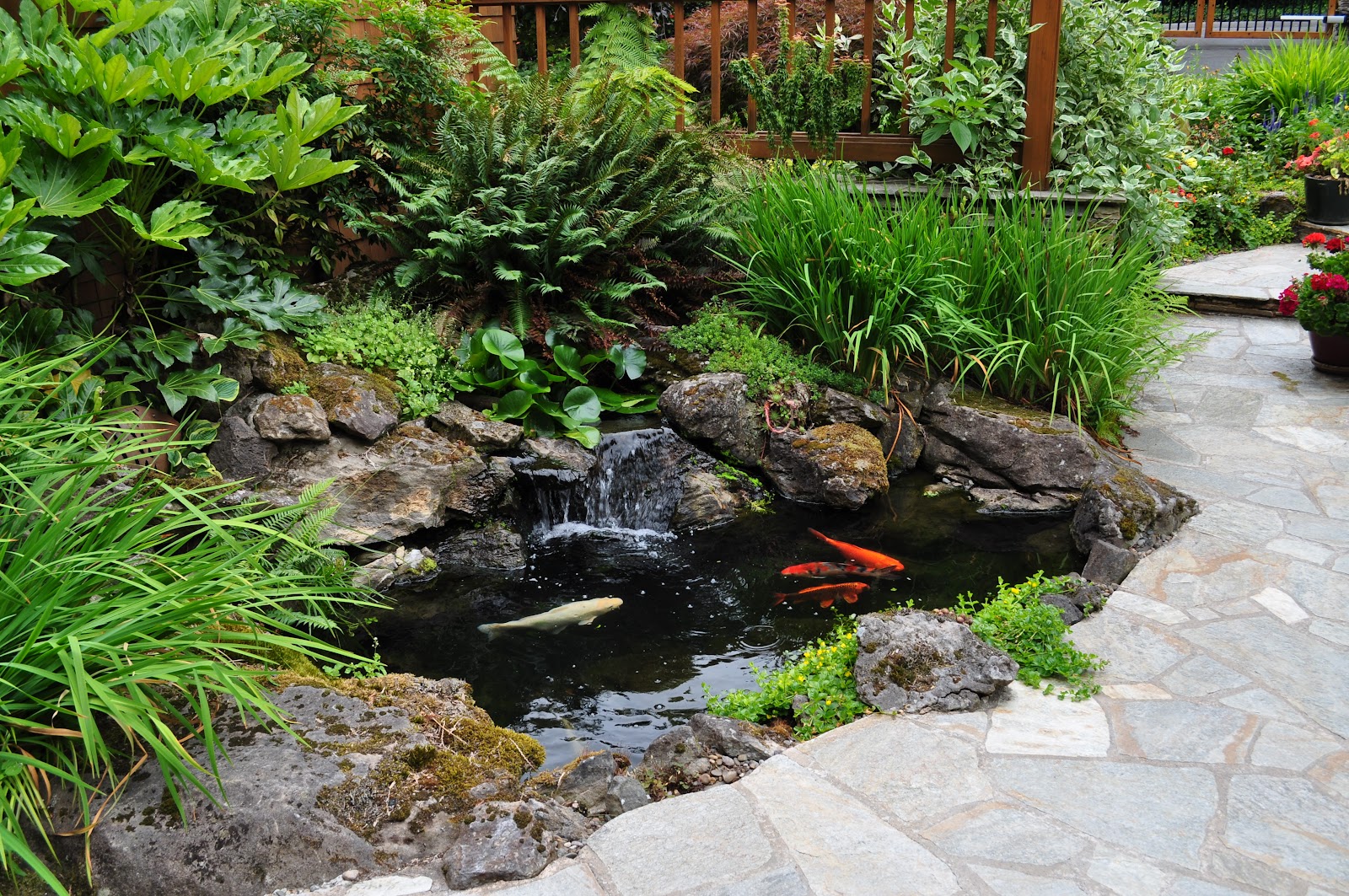 Five Ways To Create A Natural Backyard Oasis Portland Landscaping Company