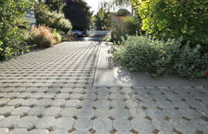 Driveway Landscape Services