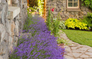 Gardens and Plants Landscape Services