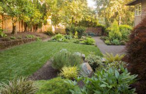 Lawn Care Landscape Services