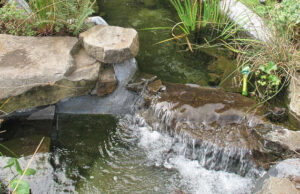 Premium Water Management Landscape Services