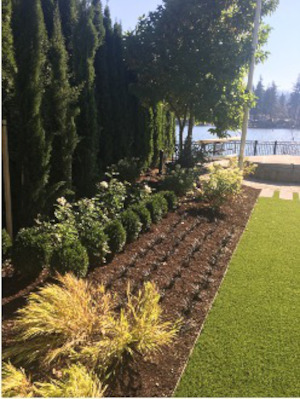 maintenance services