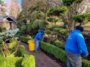 Landscaping Maintenance