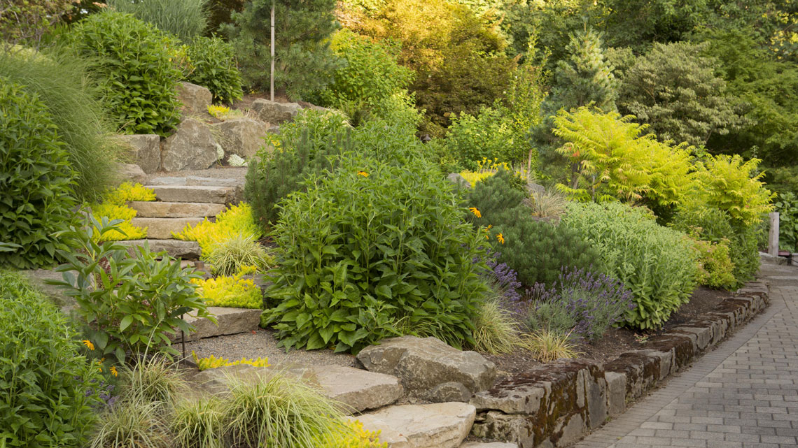 Residential Maintenance