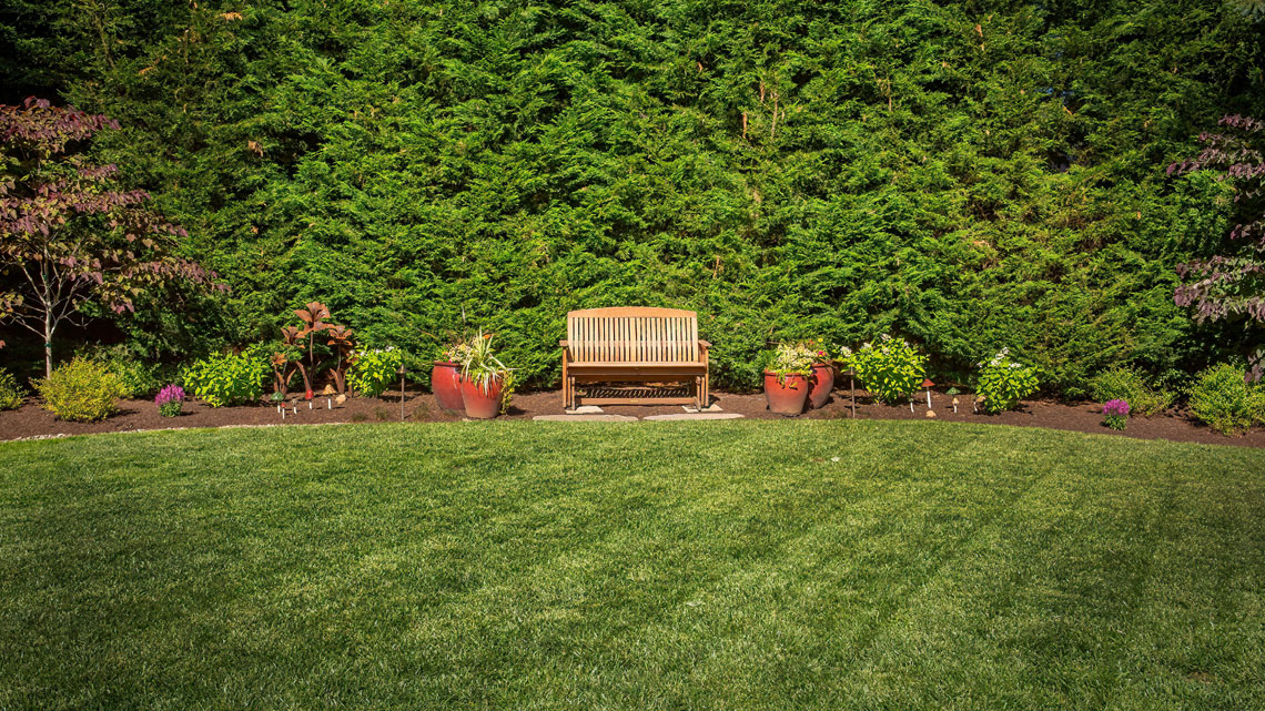 Residential Maintenance - Lawn Care