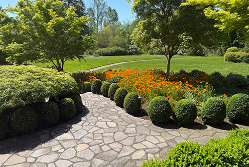 garden